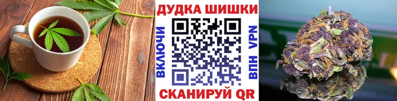 Купить где  Нариманов  Canna-Cookies конопля 