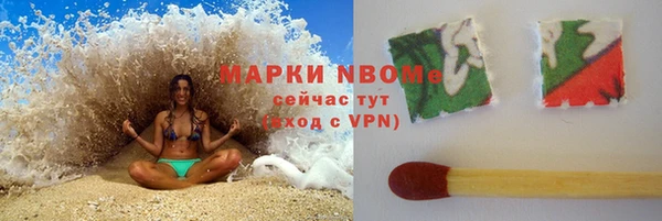 сатива Надым