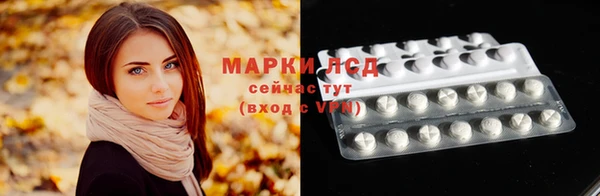сатива Надым