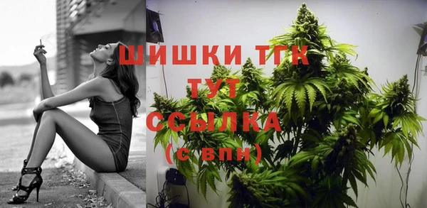 сатива Надым
