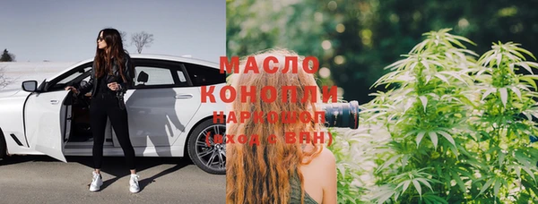 сатива Надым
