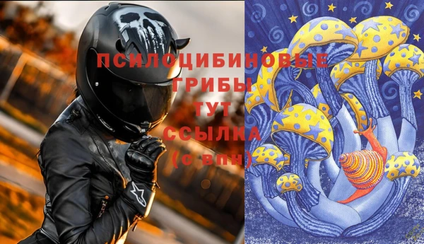 сатива Надым