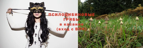 сатива Надым