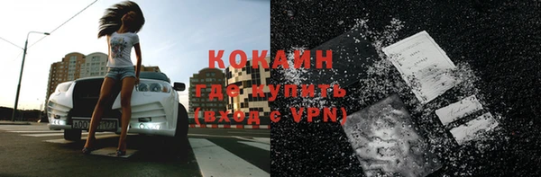 сатива Надым