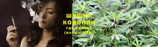 сатива Надым