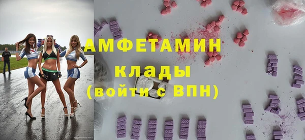 сатива Надым