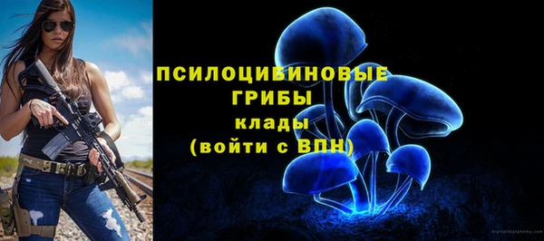 2c-b Навашино