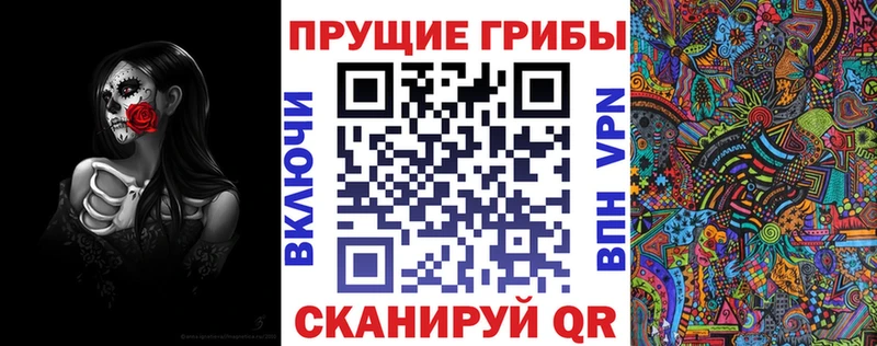Псилоцибиновые грибы Psilocybe  Купить где  Нариманов 